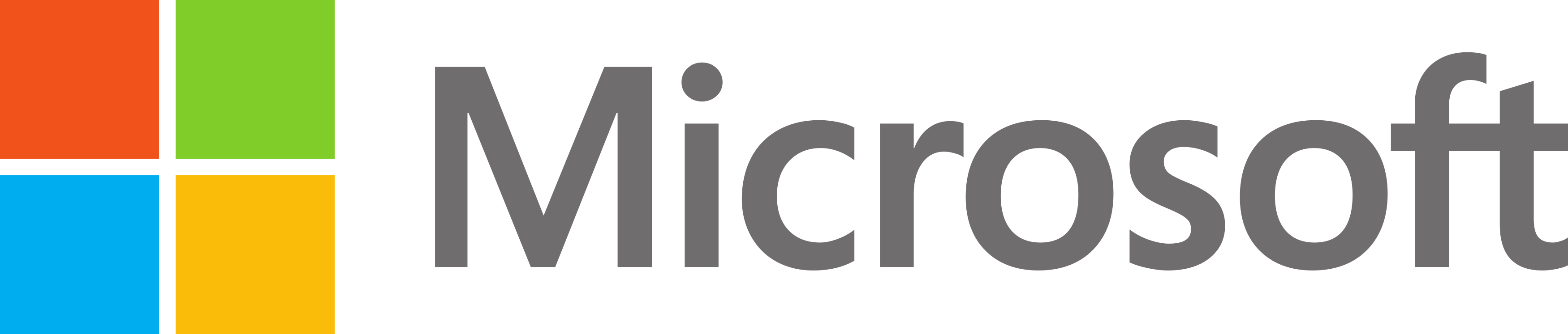 Partner Logo